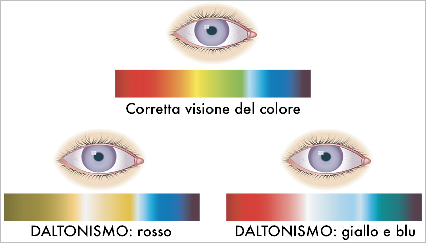 Daltonismo - Differenza di percezione dei colori